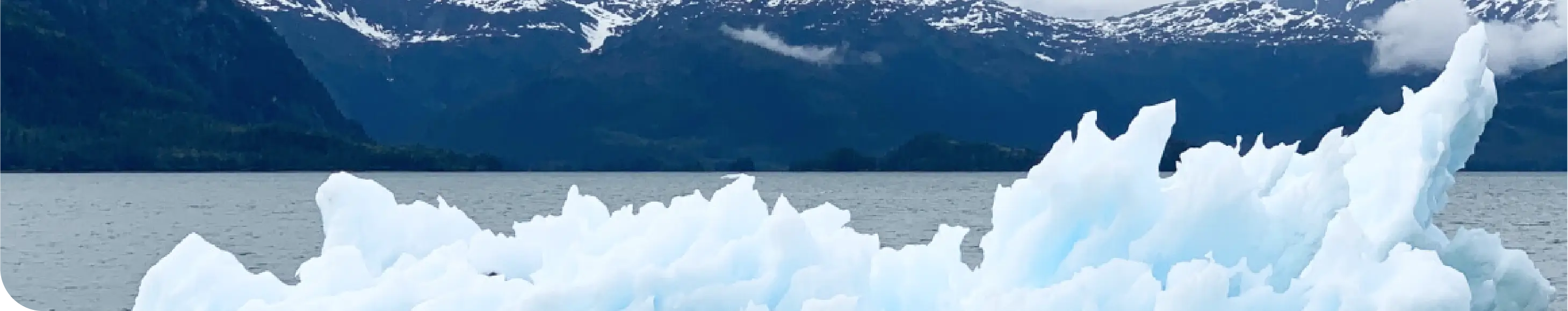 Addressing Climate Change