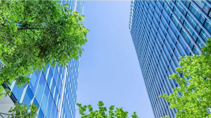 Our sustainability managemen promotion system and governance model