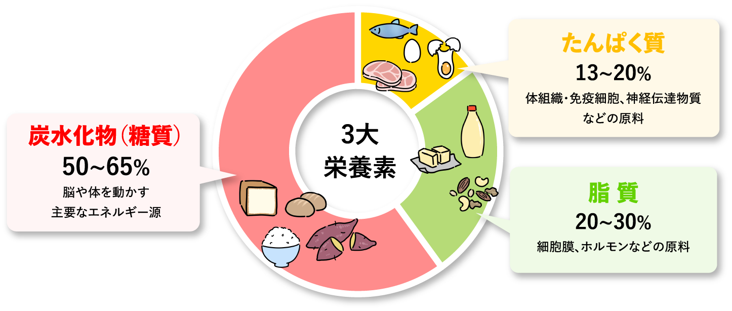 3大栄養素の図