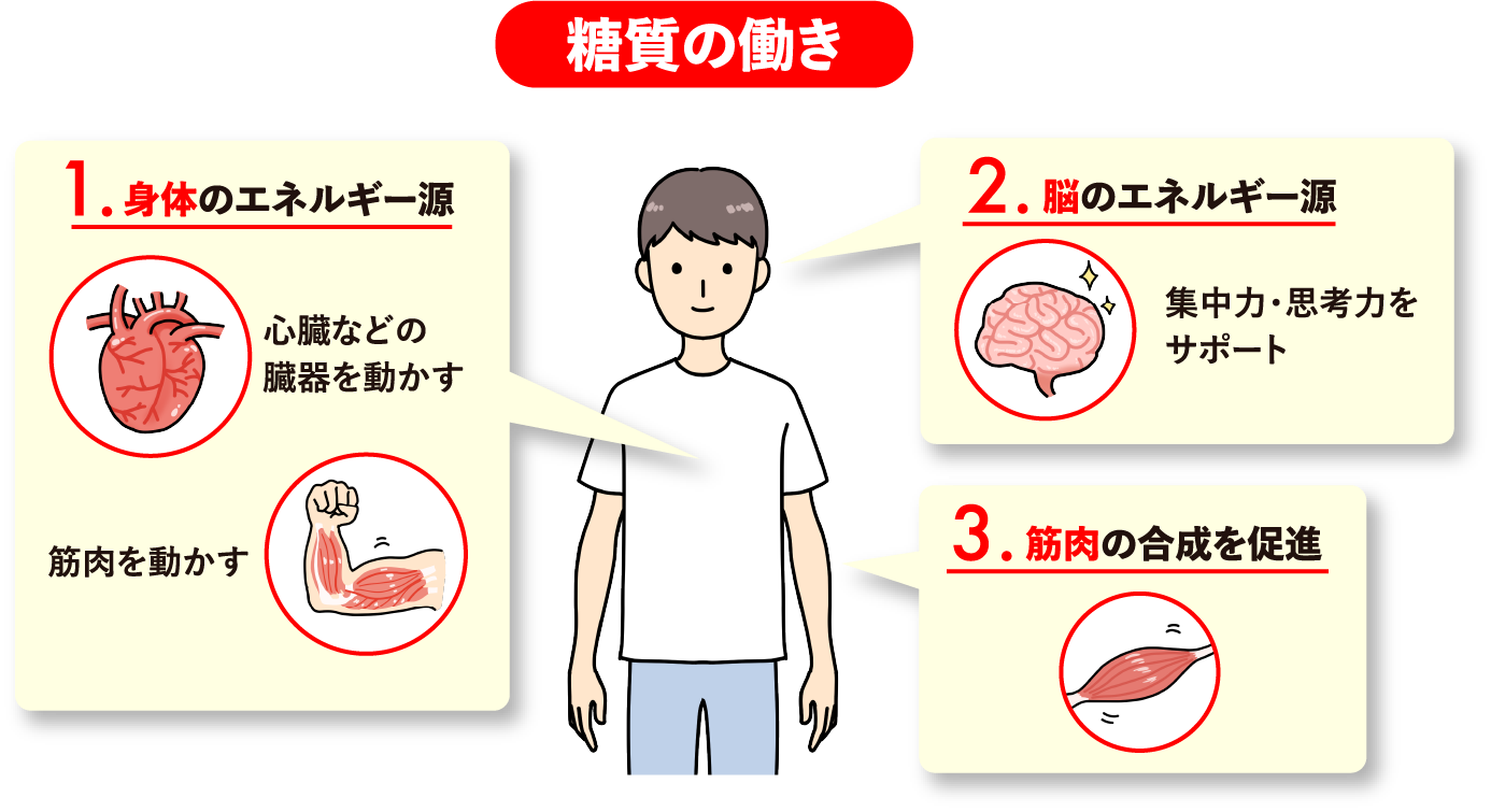 糖質の働きの図
