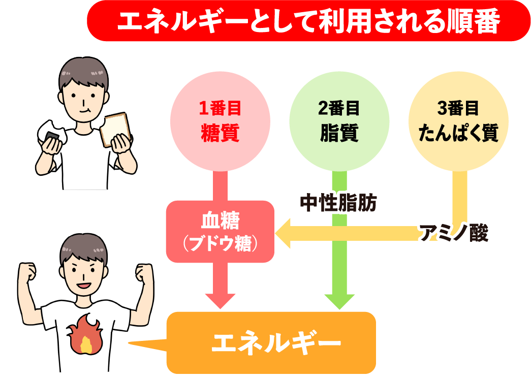 エネルギーとして利用される順番の図