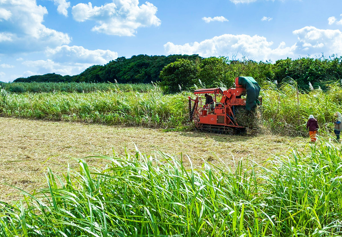 関係会社とのコミュニケーション